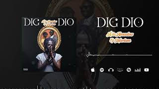 DIG DIO  A LA AMADOU ET MARIAM Official Music [upl. by Anrapa]