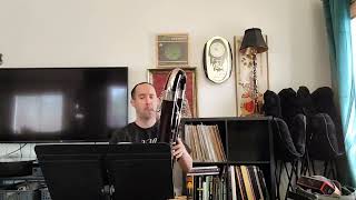 Contrabassoon Etude from Lesson 9 in Seltmann Vol 6 by Victor Bruns [upl. by Hodgkinson562]