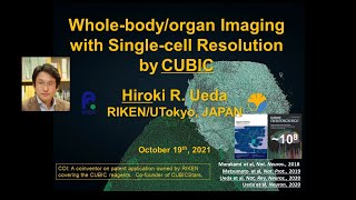 Wholebodyorgan Imaging with Singlecell Resolution by CUBIC [upl. by Werner]