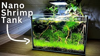 How To Make No filter Nano Shrimp Tank  Stepbystep tutorial [upl. by Bibah631]