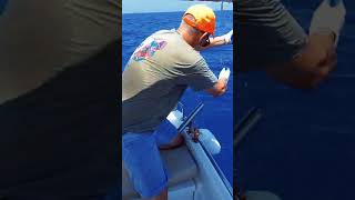 Catching Giant Greater Amberjack in 1 Hour fishing giant [upl. by Coward]