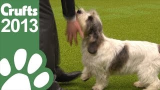 Group Judging  Hound  Crufts 2013 [upl. by Philender]