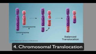 chromosomalmutations [upl. by Wolenik]