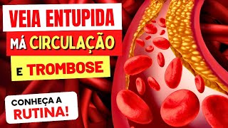 RUTINA contra VEIAS ENTUPIDAS COÁGULOS MÁ CIRCULAÇÃO e TROMBOSE  Veja ISSO [upl. by Cheyne381]