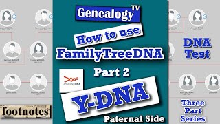 Genes vs DNA vs Chromosomes  Instant Egghead 19 [upl. by Joleen]