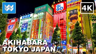 4K Akihabara Electric Town at Night in Tokyo Japan 🇯🇵 2024 Virtual Walk Tour Vlog [upl. by Berger]