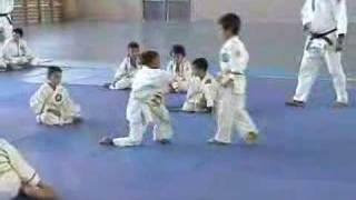 Demostració Judo Infantil  Judo Total [upl. by Dnomaid759]