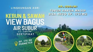 TERJUAL  KEBUN MANGGIS KOLAM IKAN DAN SAWAH VIEW ALAM HIJAU amp PEGUNUNGAN [upl. by Reeves]