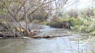 Bohnenkamp running a log jam in River Boat [upl. by Neale]