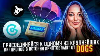 🔴🔴🔴Присоединяйся к одному из крупнейших Аирдропов в истории криптовалют от DOGS🔴🔴🔴 [upl. by Yar773]