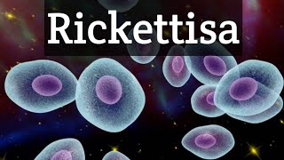 Rickettsiamedical microbiologyHindiintracellular parasite [upl. by Clintock456]