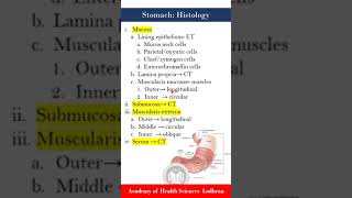 Stomach histology [upl. by Teodoro342]