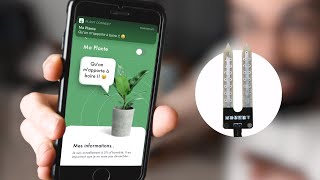 Jai codé une application pour mes plantes [upl. by Ikkela]