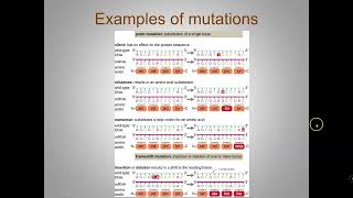 Mechanisms of Microbial Genetics [upl. by Anehc]