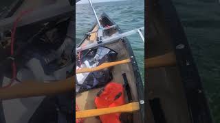 Canoe Sailing SF Bay [upl. by Ermey]