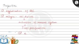 Concanavalin A is  1 an alkaloid 2 an essential oil 3 a lect [upl. by Notsreik390]