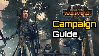 The Best Campaign Alith Anar Campaign Overview Guide  Total War Warhammer 3 Immortal Empires [upl. by Eiralih]