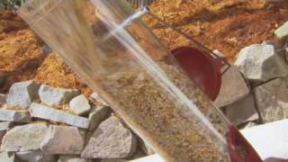 Bird Feeding Basics  How to Feed Birds [upl. by Seys147]