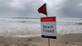 Windsurfer in hospital after Christmas Eve shark attack [upl. by Docile673]