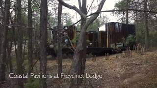 Accommodation in Freycinet National Park  Coastal Pavilions [upl. by Henryk]