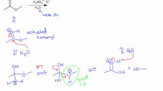 Ester Hydrolysis Acidic and Basic Conditions [upl. by Aehta]