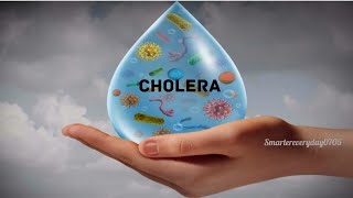 Cholera  Epidemiology Life cycle Symptoms Diagnosis Treatment Prevention [upl. by Nohsreg]