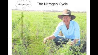 Nitrogen Cycle [upl. by Mischa488]