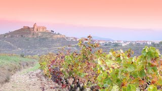 S2 Ep23 Rioja Four lovely recommendations from the newest Old World wine region this winter [upl. by Firmin]