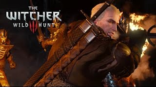 The Witcher 3 One hour of Emotional and Relaxing Music [upl. by Tullius]