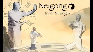 Neigong ☯︎ Inner Strength  Training the 4 Powers [upl. by Barta]