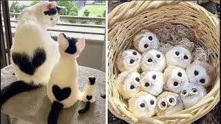 Cute Baby Animals Videos Compilation  Funny and Cute Moment of the Animals 31  Cutest Animals [upl. by Netsruk24]