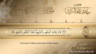 SURAH ALBAQARAH  NO ADS  beautiful Quran Recitation NoAds [upl. by Ellainad704]