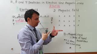 Alpha Beta amp Gamma Particles in Electric and Magnetic Field [upl. by Gautious342]