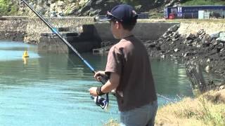 Fishing at Fishguard Harbour in Pembrokeshire [upl. by Camellia613]