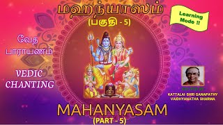 MAHANYASAM  PART  5  Learning Mode [upl. by Ilysa]