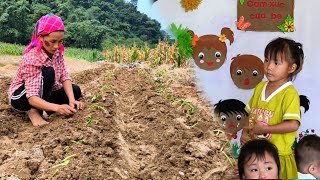 Bông study hard while mom clears weeds and plants sweet potatoes for livestock [upl. by Swinton]