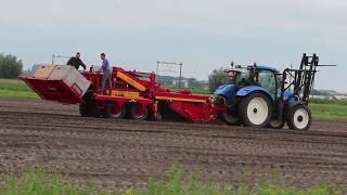 Harvesting season  Ruigrok Flowerbulbs [upl. by Faustus982]