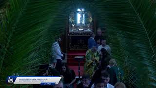 Palm Sunday Morning Matins amp Divine Liturgy  28th April 2024  St Spyridon Sydney [upl. by Enutrof]