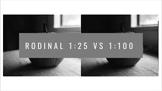 Rodinal 125 vs 1100 [upl. by Eiramannod]