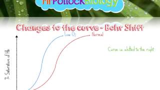 Physiology of Hemoglobin Understanding the OxygenHemoglobin Dissociation Curve [upl. by Calla95]