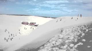 Sandboarding near Port Stephens [upl. by Lynnworth]