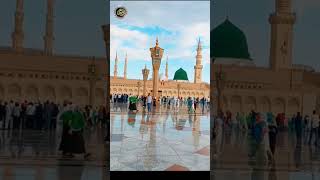 Sallay Ala Nabiyena صلّ علیٰ نبینا صلّ علیٰ محمّد  Durood O Salam KalamEOwaisi [upl. by Noella654]