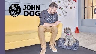 Jak mądrze wychować szczeniaka – TRENING – JOHN DOG [upl. by Mateusz]