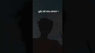 Srotoshini Lyrics Lofi 🖤🦋  ENCORE  Lyrics  স্রোতস্বিনী ✨ fypシ lyrics music hitsong [upl. by Nitfa]