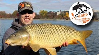 How to catch carp  carp fishing tips and techniques  carp bait [upl. by Dianuj]