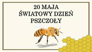 Czemu pszczoły są ważne oraz jak im możemy pomóc [upl. by Vladimar]