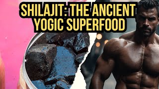 Shilajit The Ancient Yogic Superfood that Rebuilds Your Body [upl. by Rasmussen]