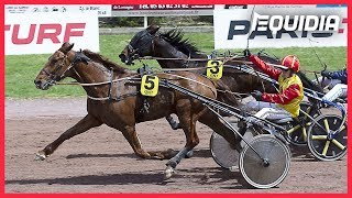 Dream de Lasserie  Grand National du Trot ParisTurf  BeaumontdeLomagne  240419 [upl. by Stevena]