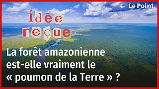 La forêt amazonienne estelle vraiment le « poumon de la Terre » [upl. by Themis]