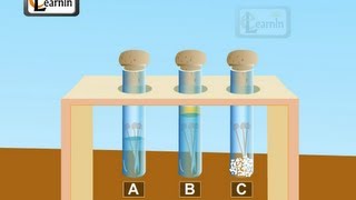 Corrosion and rust Science [upl. by Leitnahs]